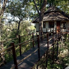 Sanctuary Sussi & Chuma