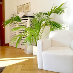 Hotel Villa Falkenberg - Bild 14