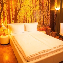 Apartment My Little Black Forest - Bild 5