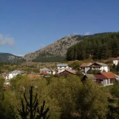 Yagodina Family Hotel thumbnail 4