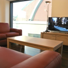Nest - Steinentorberg - Bild 10
