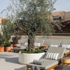 Hotel Well and Come Malaga - Bild 25