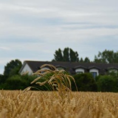 Hotel-Pension Pastow Garni - Bild 7