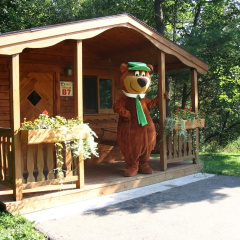 Yogi Bear's Jellystone Park Camp-Resort Wisconsin Dells thumbnail 42