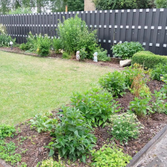 Heimathafen Weimar - Bild 11