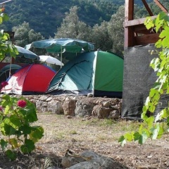 Asiyan Kamp - Bild 12