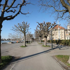 ZH Seefeld - Hitrental Apartment - Bild 13