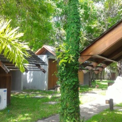 Into The Forest Resort - Bild 12