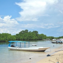 Damara Lembongan - Bild 4