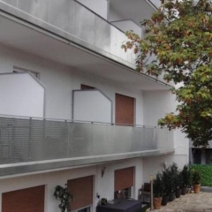 Kranich - Bild 14