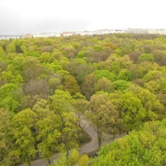 Apartment David Garden Towers - Bild 15