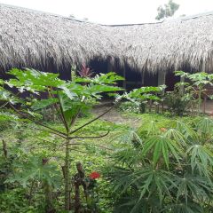 Hospedaje Bananas in Ometepe Island, Nicaragua from 121$, photos, reviews - zenhotels.com photo 43