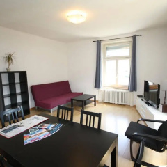 ZH Seefeld - Hitrental Apartment - Bild 12