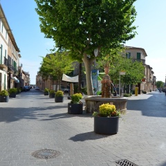 Hotel Espanya - Bild 16