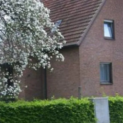 Fewo Am Trügelbach - Bild 3