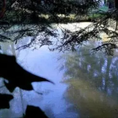 Wonderworld thumbnail 12