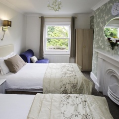 Primrose Guest House - Bild 2