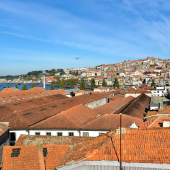 Reis de Gaia