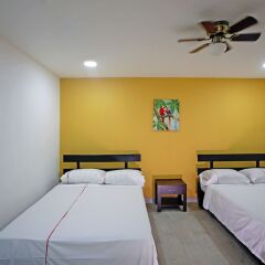 Отель San José Коста-Рика, Сан-Хосе - отзывы, цены и фото номеров - забронировать отель San José онлайн фото 7