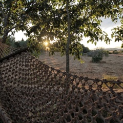 Bou Ros Finca Son Orellet - Bild 17