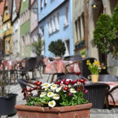 Restaurant Alter Keller - Bild 17