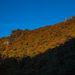 Palatium Bad Ems - Bild 9