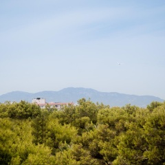 Hotel Vibra Palma Cactus - Bild 30