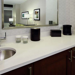 Embassy Suites By Hilton Pittsburgh Downtown thumbnail 11