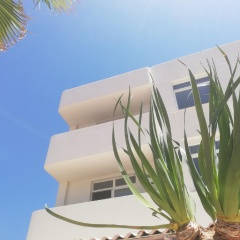 Apartamentos Ibiza - Bild 1