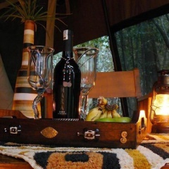 Mara Bush Camp thumbnail 10