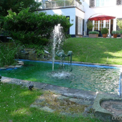 Hotel Villa im Park - Bild 13