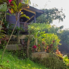 Wedang Villa - Bild 9