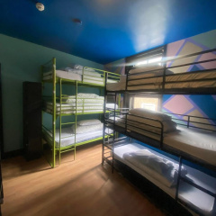 Phoenix Hostel thumbnail 13