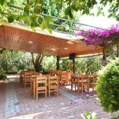 Lemon Garden Lodge - Bild 13