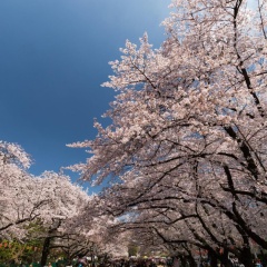 APA Hotel Asakusabashi Ekimae - Bild 16