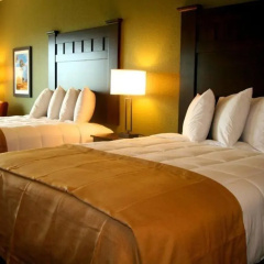 Comfort Inn & Suites Beeville thumbnail 22