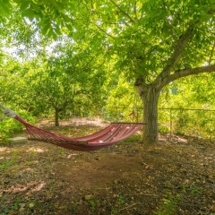 Villa Joana - Bild 15