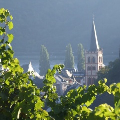 Rhein Hotel Bacharach - Bild 11