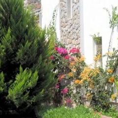 Holiday Villa BY2011 - Bild 6