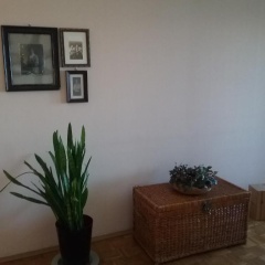 Europaplatz - Bild 9