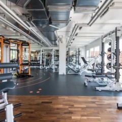 NEW OPENING 2022 - Los Lorentes Hotel Bern City - Bild 14