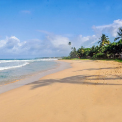 The Beach Cabanas thumbnail 22