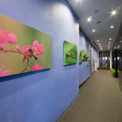 Siloso Beach Resort, Sentosa - Bild 15