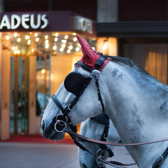 elaya hotel vienna city center, Trademark by Wyndham - Bild 18