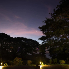 Taveuni Dive Resort thumbnail 34