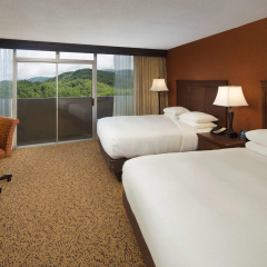 The Park Vista - a DoubleTree by Hilton Hotel - Gatlinburg thumbnail 5