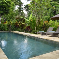 Villa Bindi - Bild 3