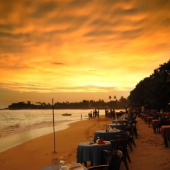 Tartaruga Hotel thumbnail 17