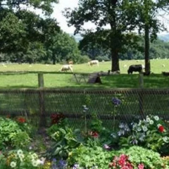Yew Tree Farm thumbnail 23