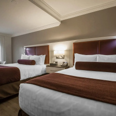 The Saint James Hotel, an Ascend Collection Hotel thumbnail 5